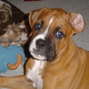 Zeke's first day home