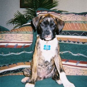 Dakota sitting pretty 9wks