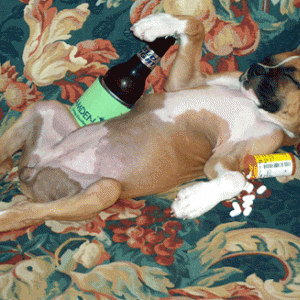 Tara after a hard day