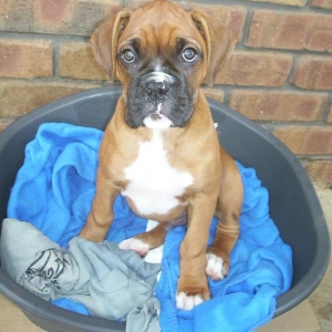 HOW CUTE AM I?