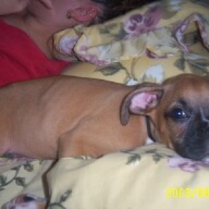 Oden is ready for bed