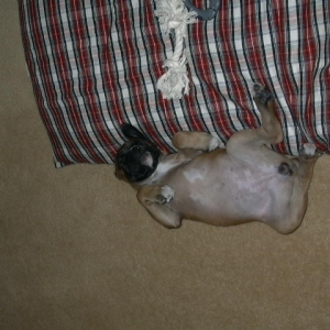 All Tired Out