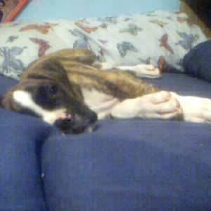 mom, I'm sleepy
