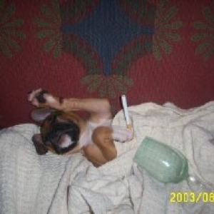 Oden had too much wine