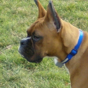 Proud side shot!