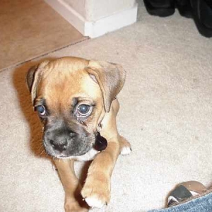 My first night with my new daddy!!!