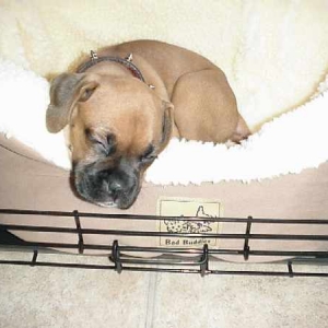 First nap in new bed
