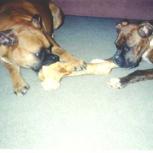 Sharing