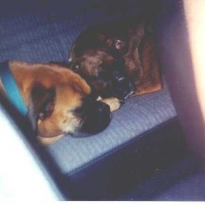 sleep'in