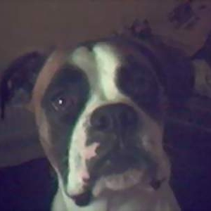 My Furbaby