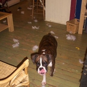 I'm not cleaning!