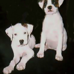 Snoopy & Sacha