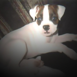 Sacha #3