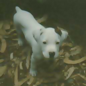 Snoopy #2