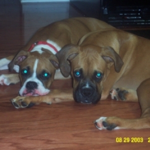 brotherly love