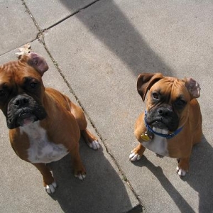 The kids