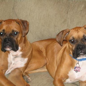 Chillin' on their couch...