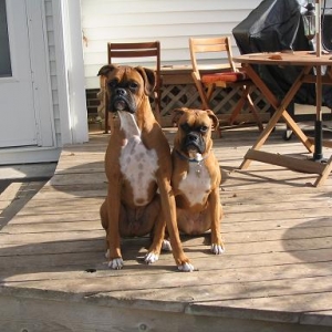 Hangin' on the deck