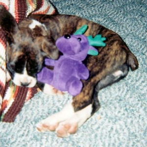 Sleepy_Girl