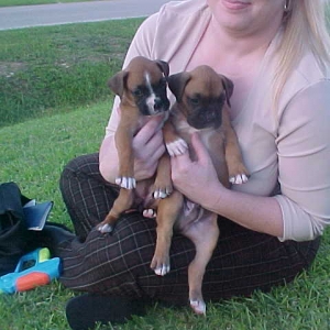 Sassy and Sarge