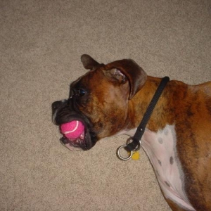 MY BALL