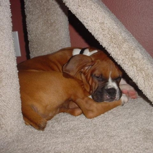 HIDING