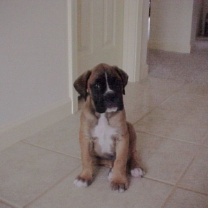 Levi's first picture