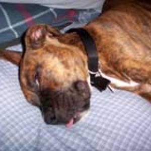 sleepy