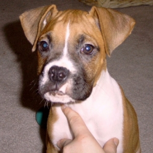Gideon: 9 weeks
