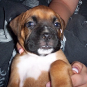new baby