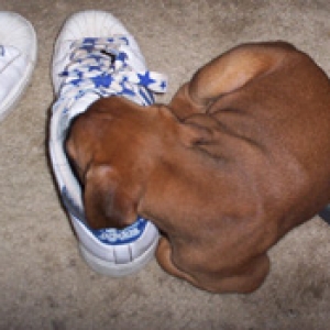nap time