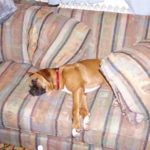 I'm just soooo tired