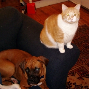 So we CAN get along...