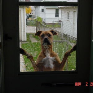 I think she wants in...