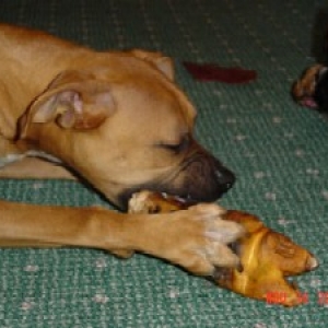 Har and her pig foot....eew!