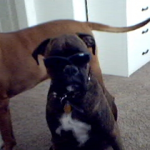 Oh so cool!
