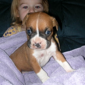 Ali's soon to be brother (Apollo) at 4 1/2 Weeks