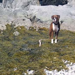 Myla in the seaweed