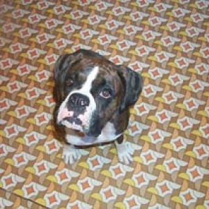 May I have my cookie please?