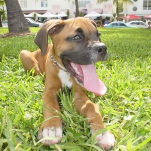 Chillin' in South Beach