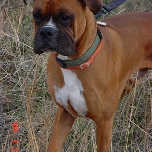 Handsome boy!