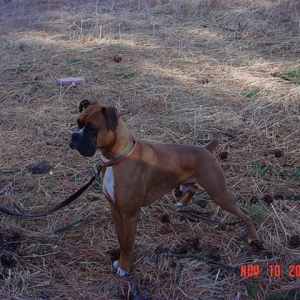 Hunter