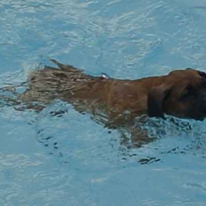 Checkout my breaststroke