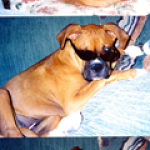 silly girl  5 months