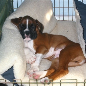 Sleeping