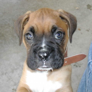 Here I was 3 months old