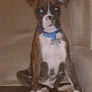 Otis14wks