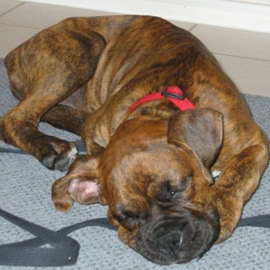 more when he was little