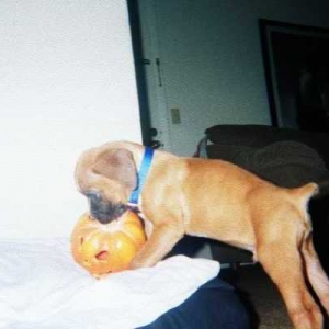 It has to be a new toy for me!!