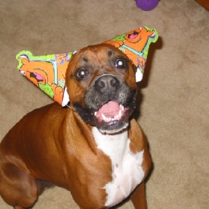 2nd Birthday!